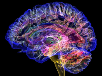 欧美色色艹艹艹艹大脑植入物有助于严重头部损伤恢复